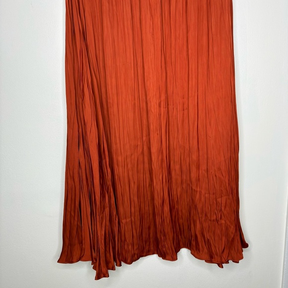 Zara Maxi Skirt - Picture 2 of 4